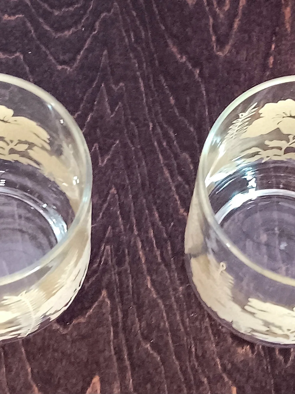 Vintage MCM Yellow Hibiscus And Fern Libbey Glass Pair